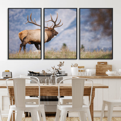 Elk with antlers standing on grass with mountain background, ideal for rustic, cabin, or lodge-inspired wall decor.