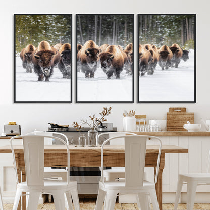 A herd of American bisons walking through a snowy forest path, perfect for rustic cabin or Western-themed wall decor.