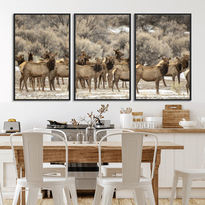 A large herd of elk standing in an open field with soft earthy tones, ideal for rustic lodge or western-themed home wall decor.