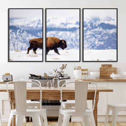 A lone bison walks across snowy ground with blue-toned mountain range behind, ideal for rustic or western farmhouse interiors.