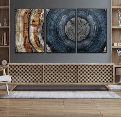A stunning close-up of a tree trunk showing the intricate, circular growth rings, showcasing the natural textures and rich contrasts in deep blues, browns, and silvers.