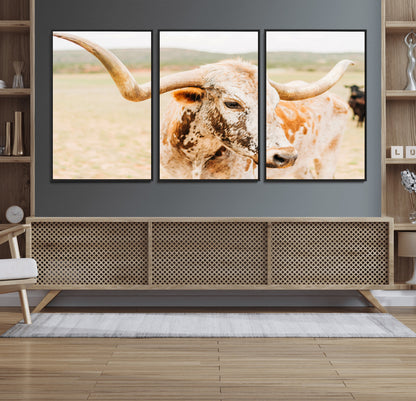 Close-up of a speckled Texas Longhorn in warm prairie tones, perfect for rustic western or countryside-themed room decor.