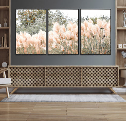 Soft pastel pampas grasses in a natural setting, ideal for neutral boho or rustic botanical-style interior wall decoration.