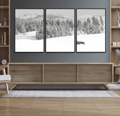 Snowy bison walking through white forest landscape, ideal for monochrome winter or wilderness-style interior wall decoration.