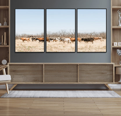 Framed wall art of Texas longhorn cattle walking through a dry, neutral-toned prairie, perfect for rustic farmhouse or western-themed home decor.