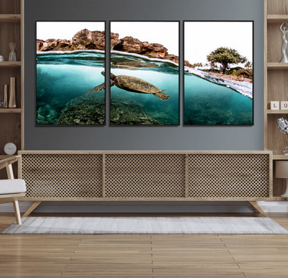 Dynamic split-view photo of a sea turtle swimming near rocky shores, perfect for vibrant coastal or tropical beach home decor.