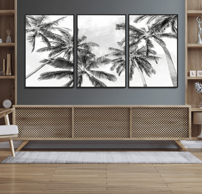 Black and white tropical palm trees viewed from below, swaying gently against a bright sky, creating a serene and elegant coastal atmosphere.