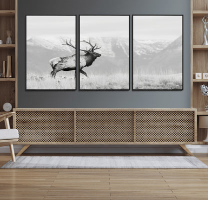 Black and white photograph of a majestic elk standing in a grassy field with snow-capped mountains in the background, creating a bold and rustic wilderness scene.