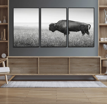 A black and white photograph of a majestic bison standing in a vast grassy prairie, evoking a sense of wilderness and strength.