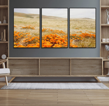 A golden field with vibrant orange poppies blooming across rolling hills under a soft, sunlit sky, creating a warm and rustic landscape.