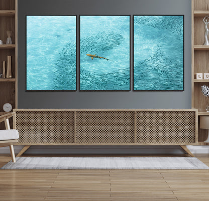 Aerial view of a shark swimming through a swirl of fish in clear turquoise waters, perfect for calm coastal or beach house decor.