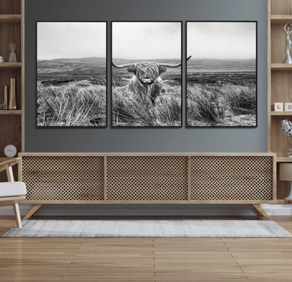 A black and white portrait of a Highland cow in a foggy Scottish countryside, capturing a rustic aesthetic and tranquil farm escape.
