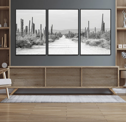 A black and white desert road stretching through a cactus-filled landscape, creating a rugged and timeless southwestern aesthetic with a sense of adventure.
