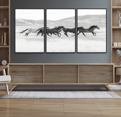 A black and white image of wild horses running freely across an open grassland, capturing the power and beauty of untamed nature in a rustic western setting.
