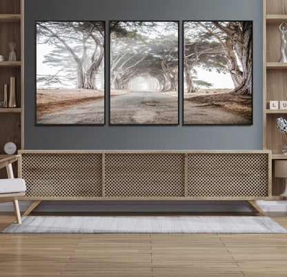 Canvas of a misty tree tunnel with arching cypress trees and an earthy road, ideal for rustic or coastal nature decor.