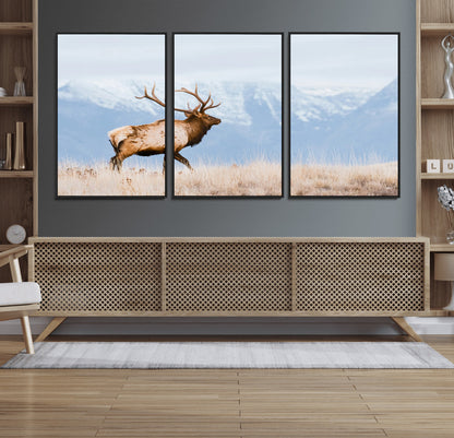 An elk walking on snowy grassland with majestic mountains in the background, ideal for rustic lodge or cabin wall decor.