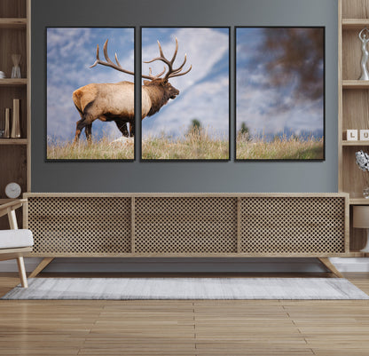 Elk with antlers standing on grass with mountain background, ideal for rustic, cabin, or lodge-inspired wall decor.
