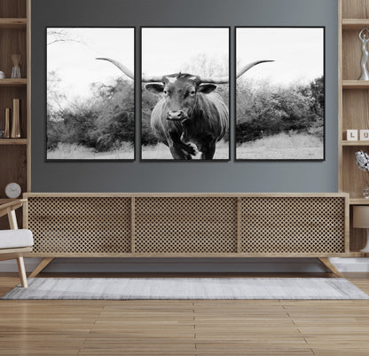 Black and white photo of a longhorn cow in a field, perfect for rustic farmhouse or western-themed interior wall decoration.