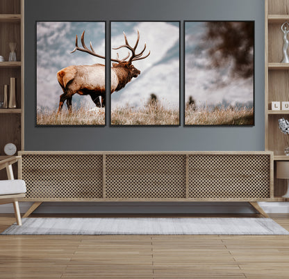 Majestic elk with large antlers standing in grass with snowy mountains in background, perfect for rustic cabin or lodge style decor.