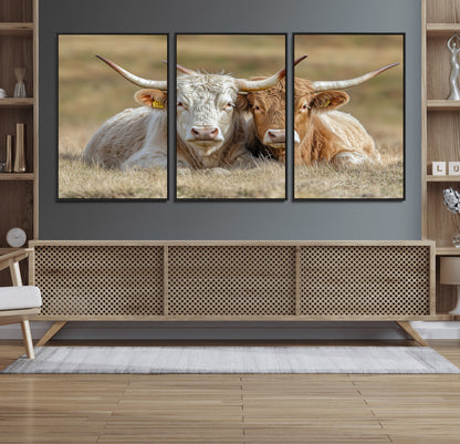 Two cows laying closely in a dry grassy field, captured in soft light, perfect for rustic farmhouse or western style home decor.