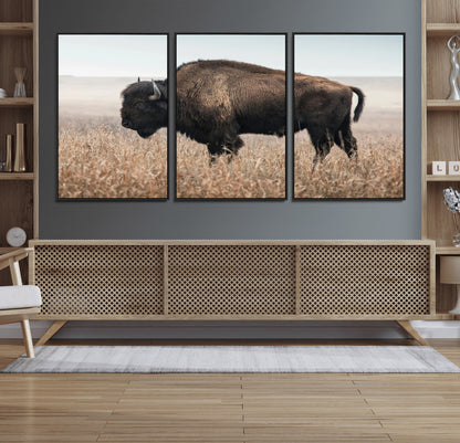 A lone bison stands in a vast prairie under a soft sky, evoking freedom and rustic charm for western or farmhouse inspired interiors.