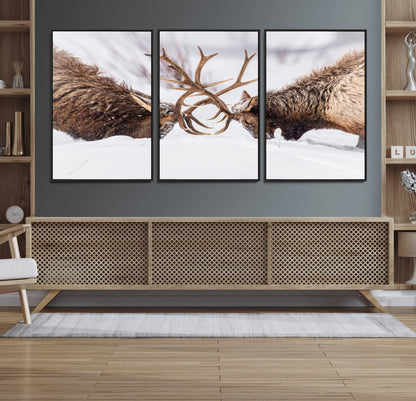 Two elk clashing antlers in a snowy forest, capturing raw power and wild energy, ideal for rustic cabin or lodge-style decor.