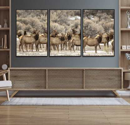 A large herd of elk standing in an open field with soft earthy tones, ideal for rustic lodge or western-themed home wall decor.