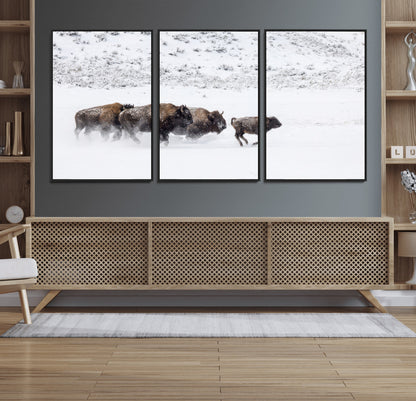 Bison herd running through a snowy open field with mountain backdrop, perfect for rustic or western-themed wall decoration.