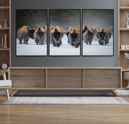 A herd of American bisons walking through deep snow in a forest, evoking a powerful rustic wilderness mood for western-style interiors.