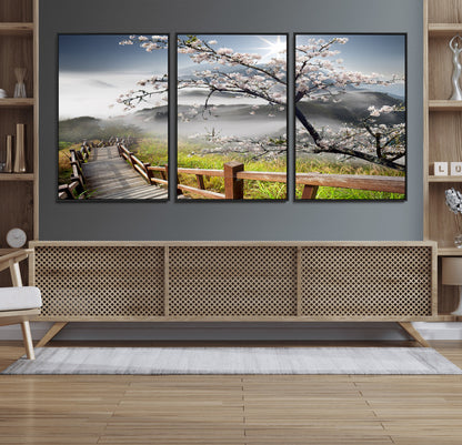 Sakura Cherry Blossom Pathway Canvas Wall Art – Tranquil Walk Through Blossoming Nature – Ready to Hang