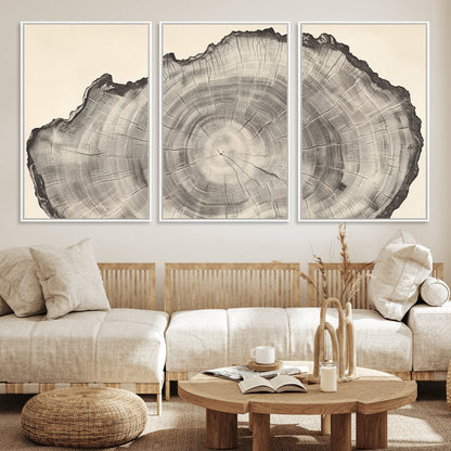 Detailed tree ring drawing in monochrome tones, ideal for rustic or nature-inspired interiors with a minimal decor aesthetic.