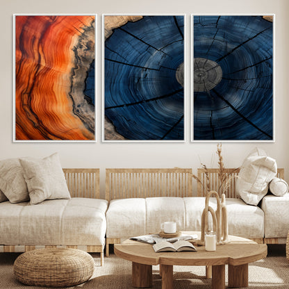 A captivating close-up of a tree trunk, showcasing its concentric rings in rich shades of blue, orange, and brown, highlighting the organic patterns of natural wood.