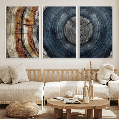 A stunning close-up of a tree trunk showing the intricate, circular growth rings, showcasing the natural textures and rich contrasts in deep blues, browns, and silvers.