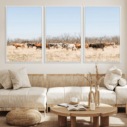 Framed wall art of Texas longhorn cattle walking through a dry, neutral-toned prairie, perfect for rustic farmhouse or western-themed home decor.