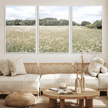 Soft-toned image of a wild daisy field under a cloudy sky, ideal for neutral or Scandinavian-inspired home decor.