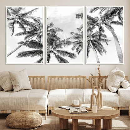 Black and white tropical palm trees viewed from below, swaying gently against a bright sky, creating a serene and elegant coastal atmosphere.