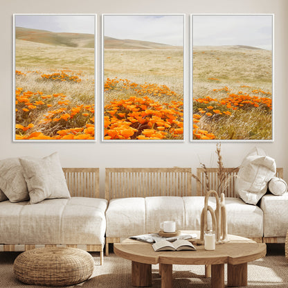 A golden field with vibrant orange poppies blooming across rolling hills under a soft, sunlit sky, creating a warm and rustic landscape.
