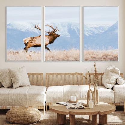 An elk walking on snowy grassland with majestic mountains in the background, ideal for rustic lodge or cabin wall decor.