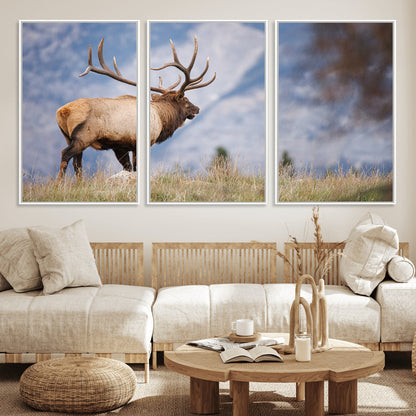 Elk with antlers standing on grass with mountain background, ideal for rustic, cabin, or lodge-inspired wall decor.