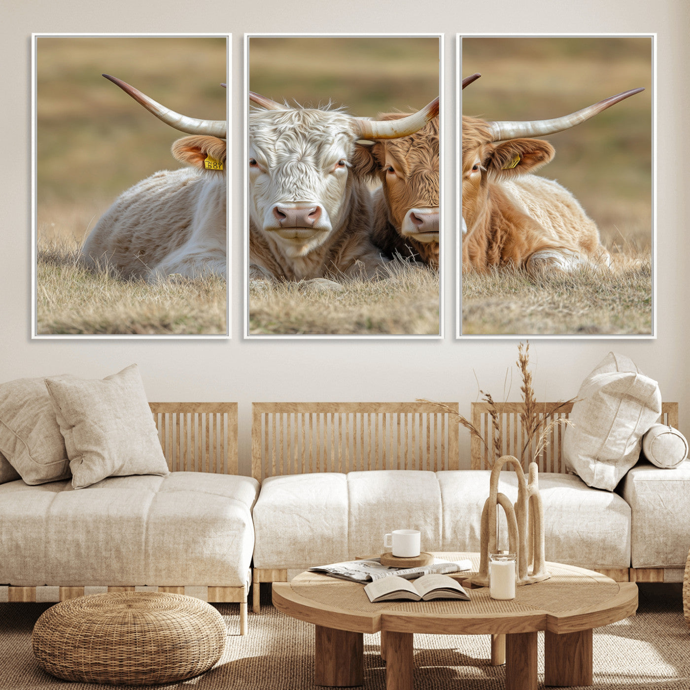 Two cows laying closely in a dry grassy field, captured in soft light, perfect for rustic farmhouse or western style home decor.