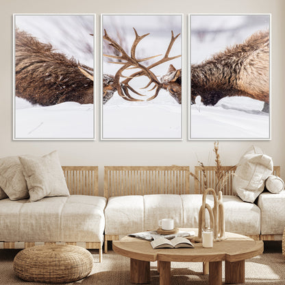 Two elk clashing antlers in a snowy forest, capturing raw power and wild energy, ideal for rustic cabin or lodge-style decor.