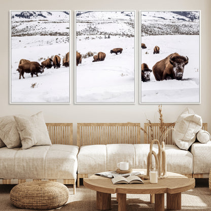 A herd of bison walking through deep snow in a mountain valley, perfect for rustic, cabin or western-themed wall decor.