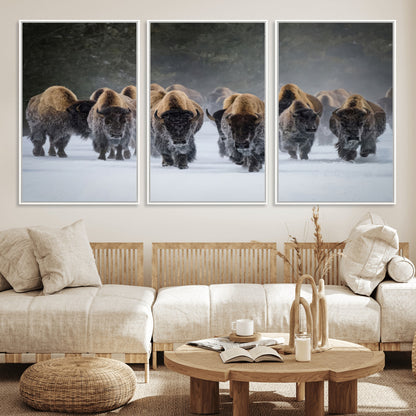 A herd of American bisons walking through deep snow in a forest, evoking a powerful rustic wilderness mood for western-style interiors.