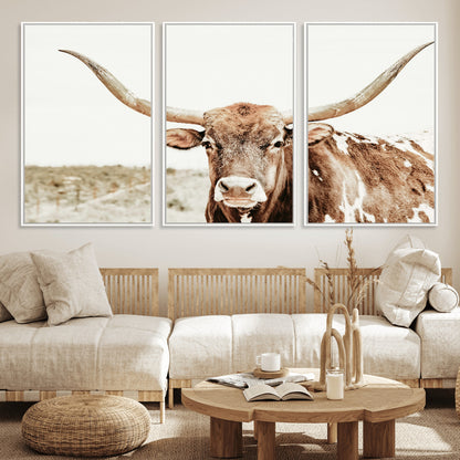 A Texas longhorn bull with wide horns, standing in a dry field under soft light, ideal for rustic farmhouse or western-themed interiors.