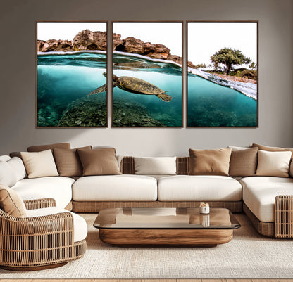 Dynamic split-view photo of a sea turtle swimming near rocky shores, perfect for vibrant coastal or tropical beach home decor.