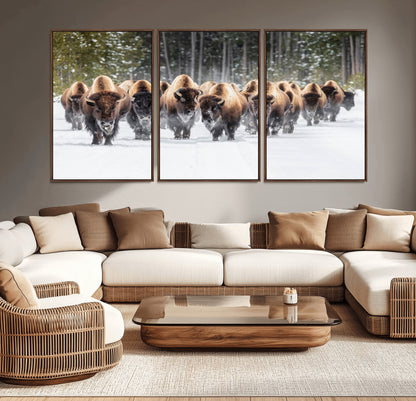 A herd of American bisons walking through a snowy forest path, perfect for rustic cabin or Western-themed wall decor.