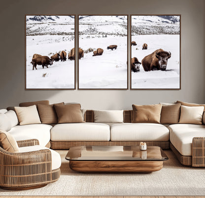 A herd of bison walking through deep snow in a mountain valley, perfect for rustic, cabin or western-themed wall decor.