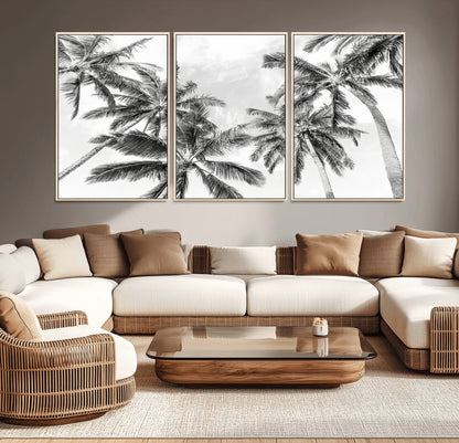 Black and white tropical palm trees viewed from below, swaying gently against a bright sky, creating a serene and elegant coastal atmosphere.
