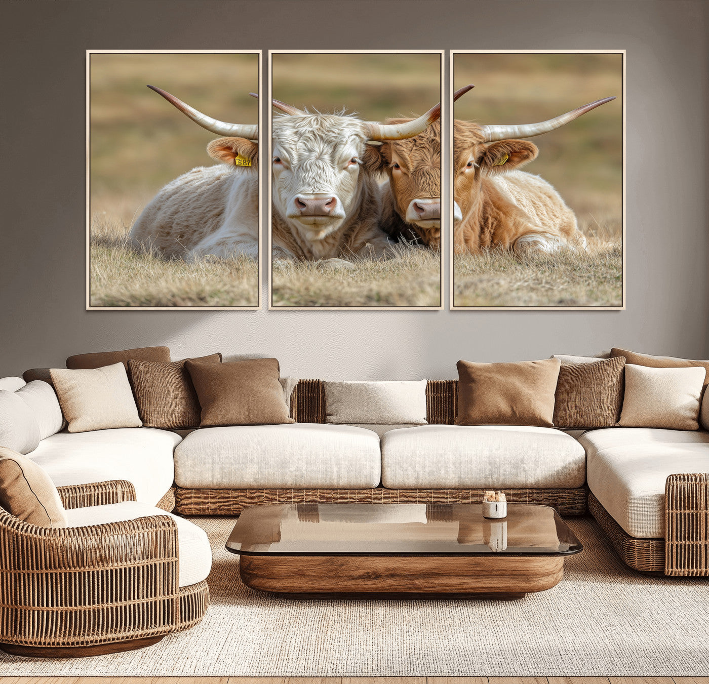 Two cows laying closely in a dry grassy field, captured in soft light, perfect for rustic farmhouse or western style home decor.