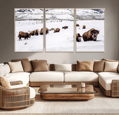 A herd of bison walking through deep snow in a mountain valley, perfect for rustic, cabin or western-themed wall decor.